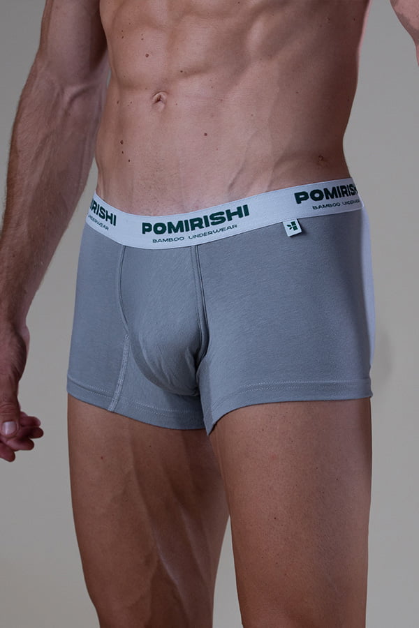 man grey boxer briefs muške bokserice trank od bambusa donji veš gaće pomirishi